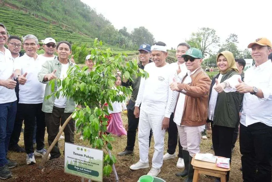 50.000 Pohon Ditanam di Puncak Bogor, "Tobat Ekologi" Digaungkan Dedi Mulyadi