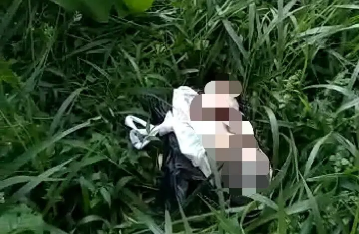 Ada Penemuan Bayi di Ciloto Cianjur, Kondisinya Meninggal Dunia