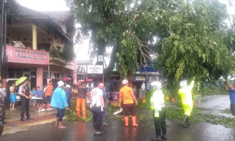 Ada Pohon Tumbang, Jalan Dr Muwardi Cianjur Macet
