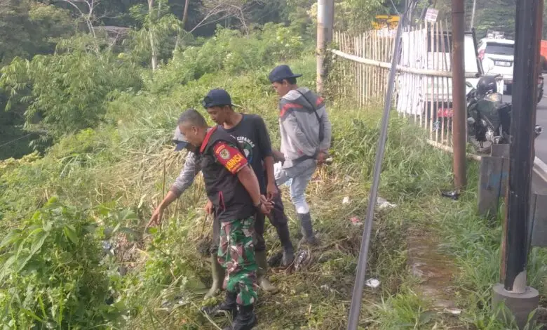 Ada Temuan Daging Celeng di Cipanas, Polisi Akan Selidiki