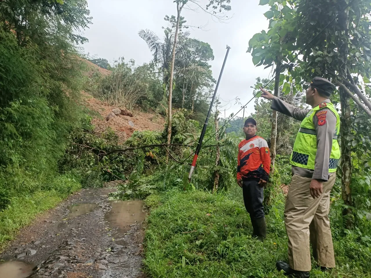 Akses Vital Cianjur Terputus, Longsor Tebing 100 Meter Tutup Jalan Penghubung Desa di Cibinong