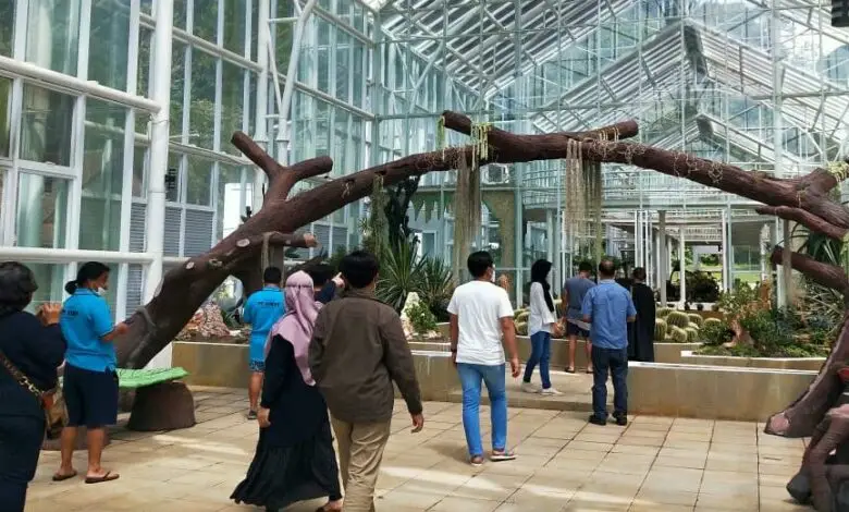 Asyik! Rumah Kaca di Kebun Raya Cibodas Sudah Dibuka Untuk Umum