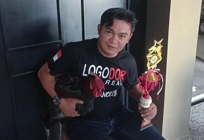 Ayam Pelung Ule Rajata Cianjur, Juarai Kontes Nasional