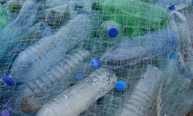 Bakar Sampah Plastik Sebabkan Kanker