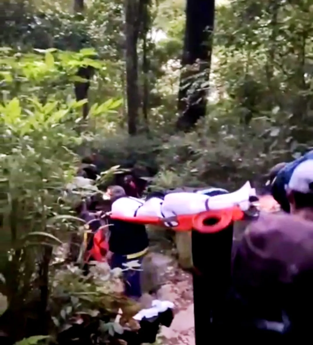 Balai TNGGP Buka Suara Soal Isu Pendaki Meninggal di Gunung Gede Pangrango