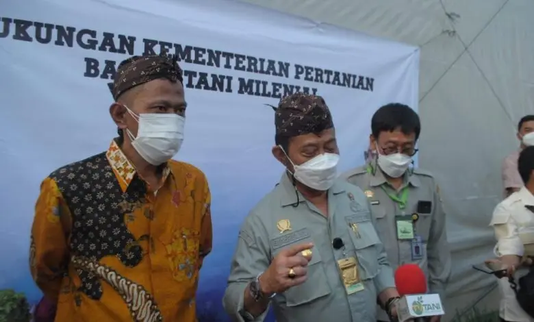 Banyak Lahan Terbengkalai, Pemkab Cianjur Galakkan Bidang Pertanian Lewat Petani Manjur