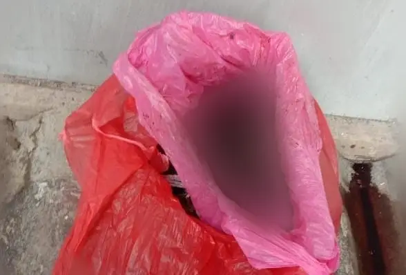 Bejad!! Sesosok Bayi di Temukan Meninggal Dunia Dalam Plastik Merah, Dibuang Usai Melahirkan?