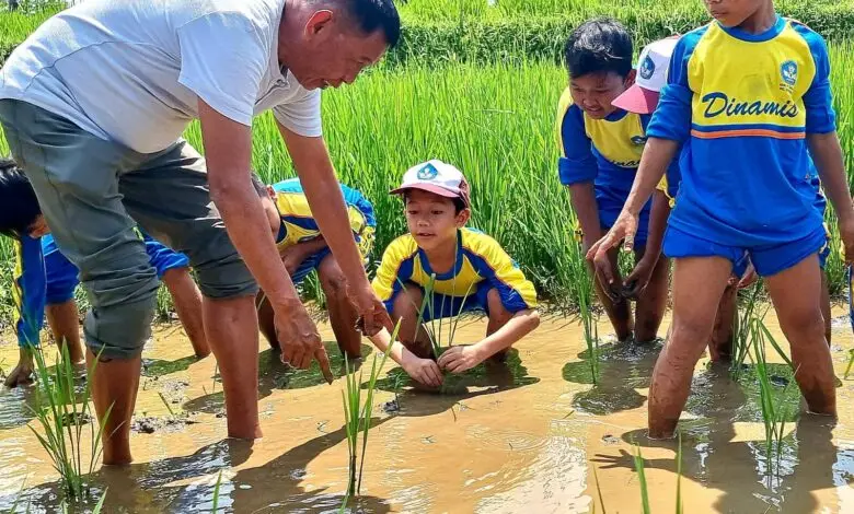 Belajar Pertanian Ramah Lingkungan Sambil Nikmati Alam Permai