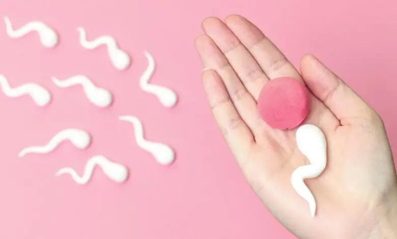 Berikut ini yang Langsung Terbentuk Setelah Proses Fertilisasi Adalah