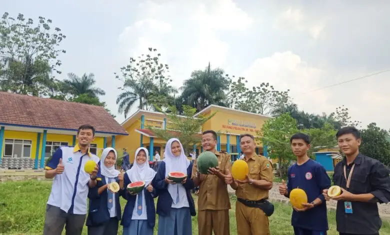 Budidaya Semangka Kuning di SMKN 1 Karangtengah Pupuk Jiwa Wirausaha Siswa