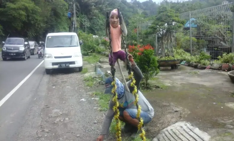 Cerita Doger Monyet yang Keliling di Jalan Raya Cipanas