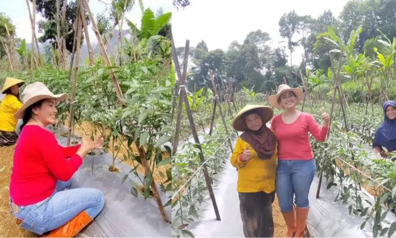 Cerita Elsa Heimbach, Srikandi Hortikultura Asal Cianjur Selatan