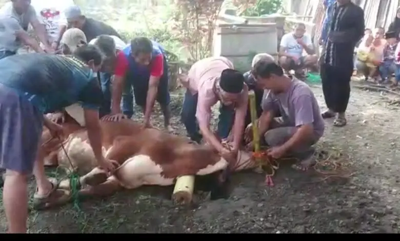 Cerita Seorang Jurnalis yang Jago jadi Jagal Hewan Kurban di Cianjur