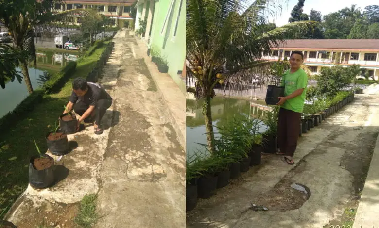 Cerita Ustaz Kabayan Cianjur Sukses Menanam Jahe Merah dengan Modal Nekat