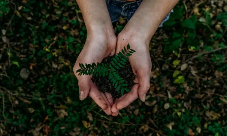 Contoh Reuse: Solusi Ramah Lingkungan untuk Pengurangan Limbah