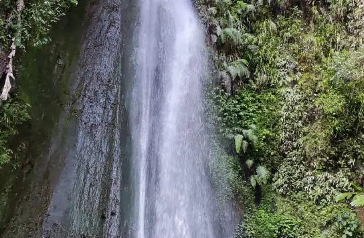 Curug Ciismun, Pesona Air Terjun Kebun Raya Cibodas yang Epic Banget!