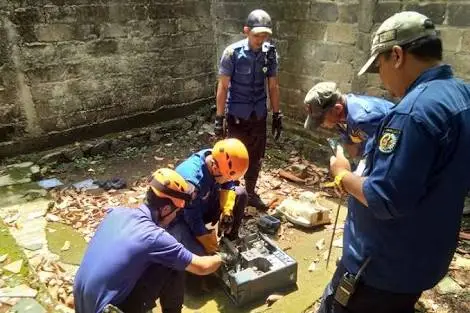 Damkar Cianjur Lima Kali Evakuasi Ular Kobra dan Sanca di Perkampungan