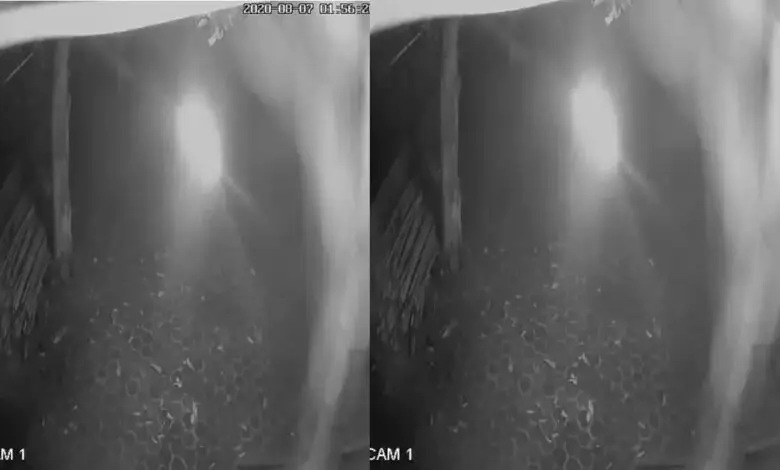 Detik-detik Pelemparan Bom Molotov di PDIP Cianjur Terekam CCTV
