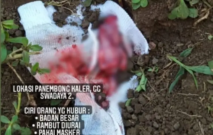 Diduga Korban Aborsi, Penemuan Janin di Cianjur Gegerkan Warga