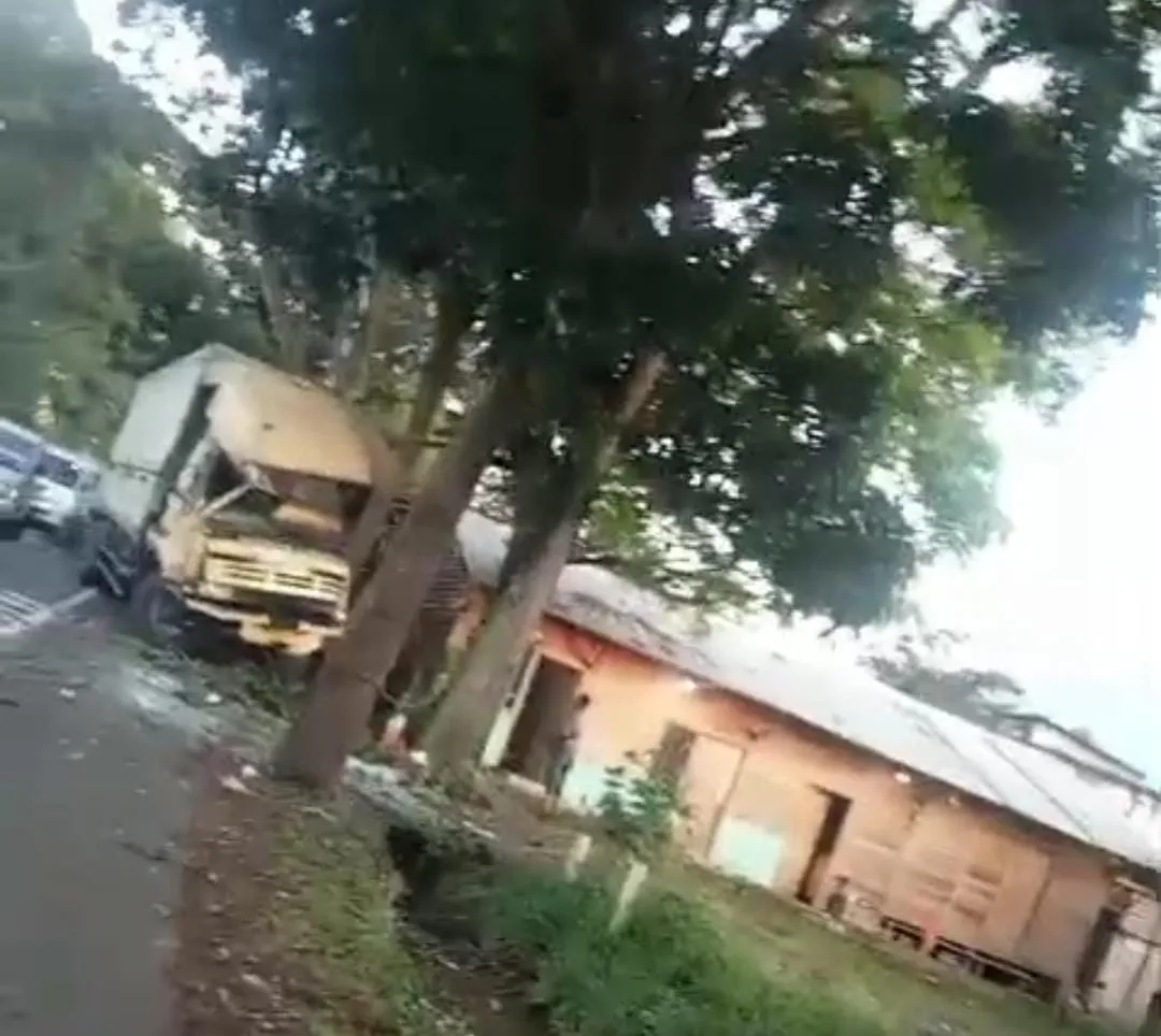 Diduga Rem Blong, Truk Box Hantam Pohon di Jalur Tengkorak Cianjur
