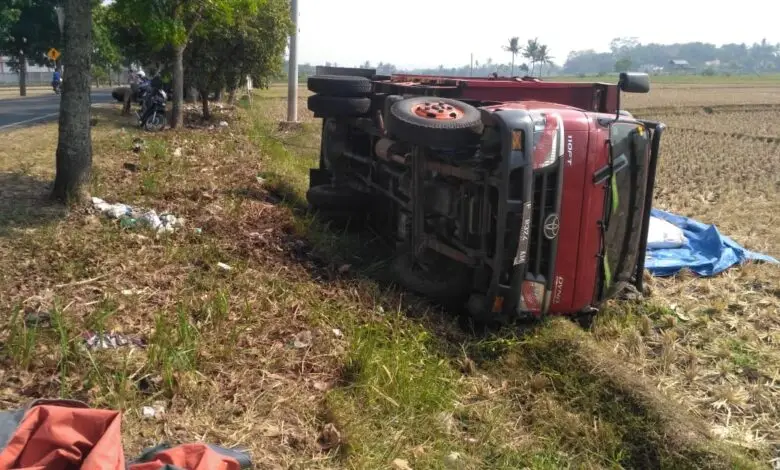 Diduga Sopir Mengantuk, Truk Pakan Ayam Terguling ke Sawah