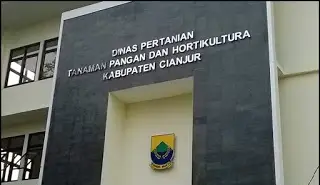 Dinas Pertanian Bantu Petani Bunga Cianjur Lewat "Jumat Segar"
