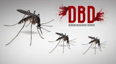 Dinkes Cianjur: Kasus Kematian Akibat DBD di Cianjur Menurun