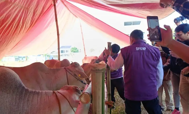 DPKHP Bareng Satpol PP Cianjur Periksa Hewan Kurban yang Dijual di Pinggir Jalan