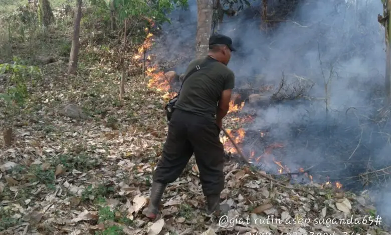Dua Hektar Kebun Karet Hangus Terbakar