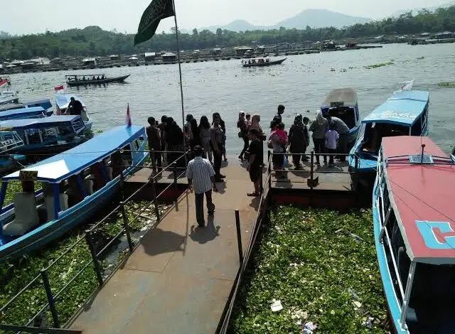 Eceng Gondok di Jangari Dijadikan Kompos Agar Terkendali
