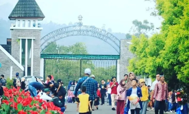 Februari-Maret, Pengunjung Kebun Raya Cibodas Turun