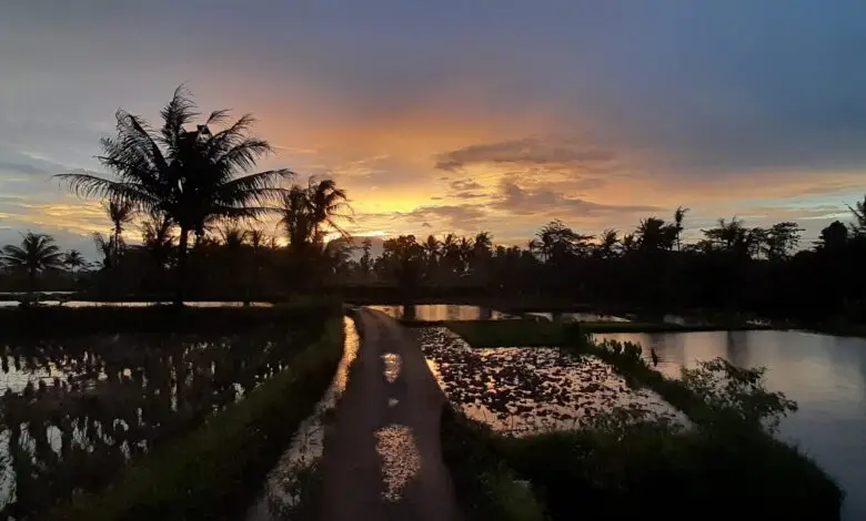 Foto Indahnya Pelangi di Berbagai Sudut Cianjur