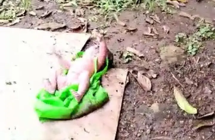 Geger Video Diduga Buang Bayi di Cugenang, Begini Penjelasan Kapolsek