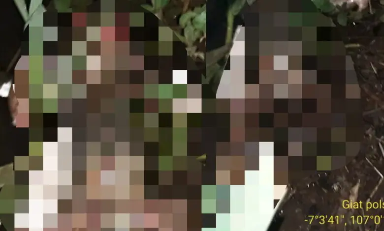 Geger, Warga Cianjur Temukan Mayat Bayi dengan Tali Pusar Masih Menempel