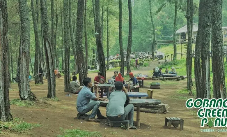 Gobang Green Pinus, Wisata Alam Murah-meriah di Cibeber
