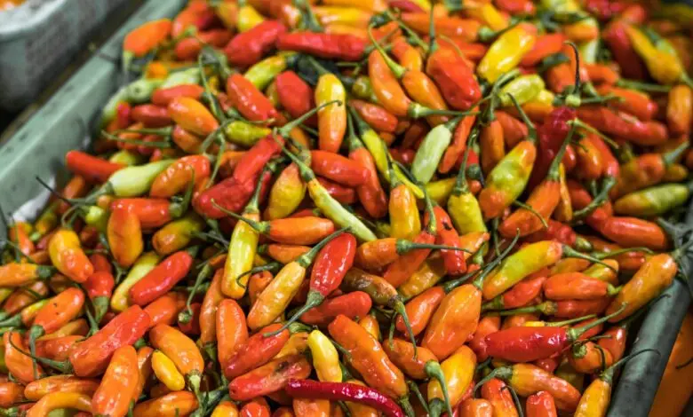 Harga Cabai Rawit Merah di Cianjur Naik, Rp 100 Ribu Per Kilogram
