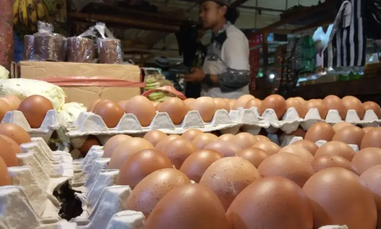 Harga Daging dan Telur Ayam di Pasar Cipanas Naik Drastis