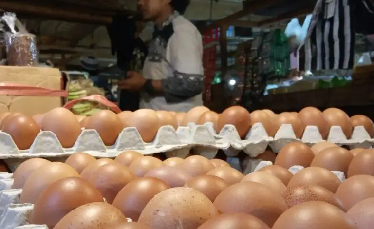 Harga Telur di Cianjur Naik, Imbas Isu Kenaikan Harga BBM?
