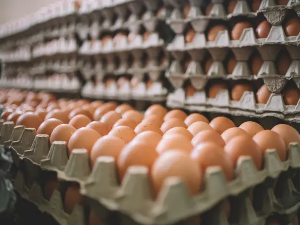 Harga Telur di Cianjur Naik, Ternyata Gara-Gara Ini!