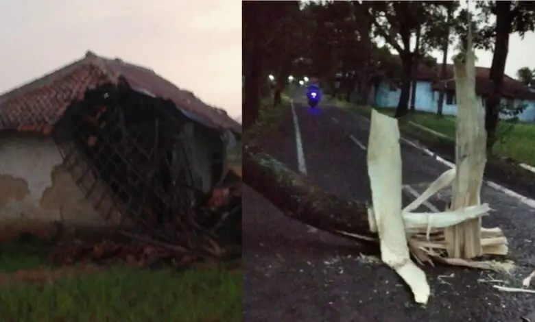 Haurwangi Disapu Angin Kencang, Pohon Tumbang dan Sejumlah Bangunan Rusak