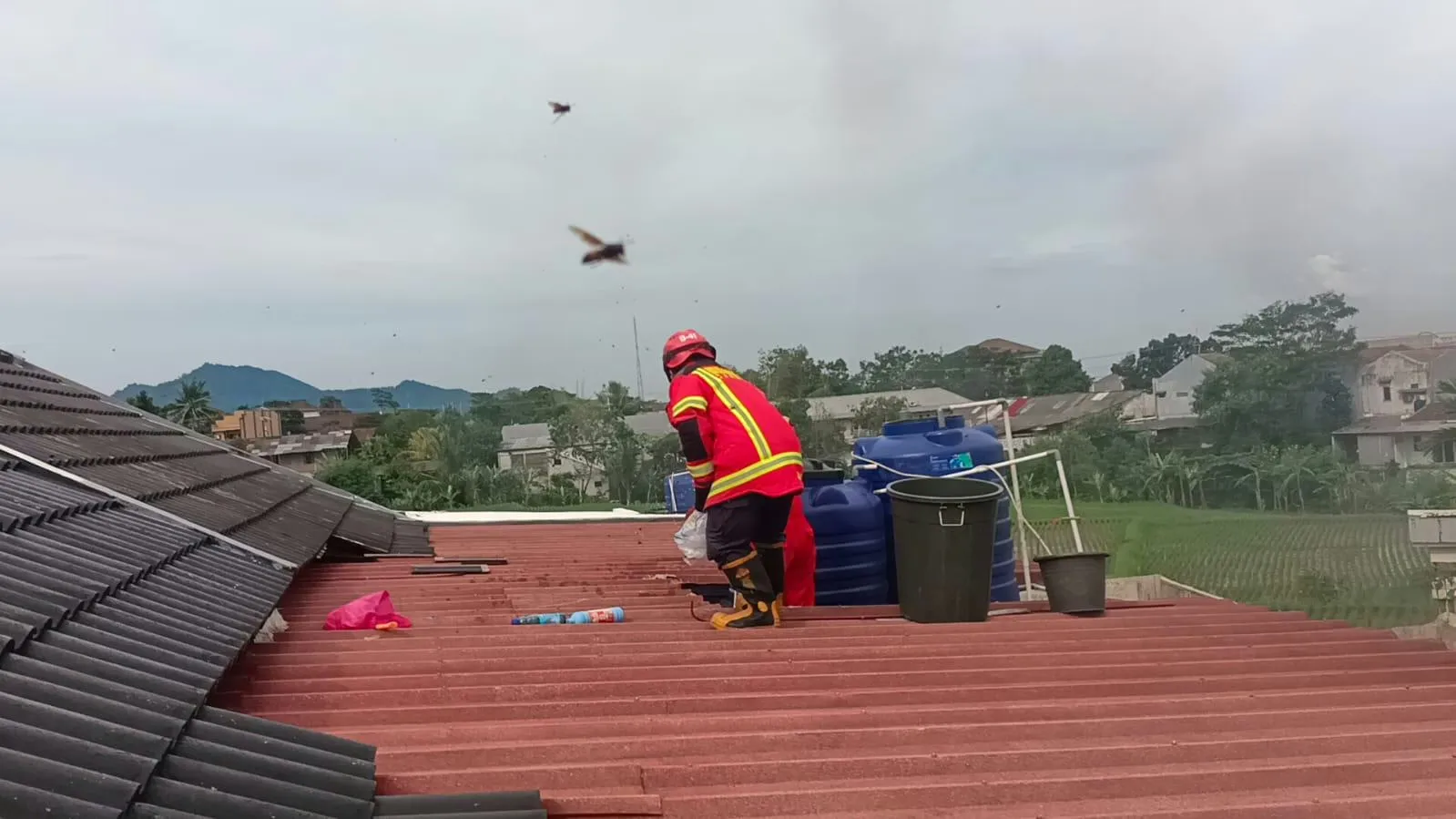 Hendak Kuras Toren, Dua Warga Pesona Cianjur Tersengat Tawon Hingga Tak Sadarkan Diri