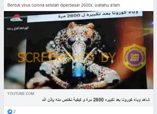 Hoaks Gambar Virus Corona yang Diperbesar Beredar