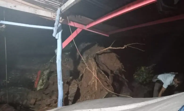 Hujan Angin, Pohon Tumbang Menimpa Rumah Warga di Cianjur