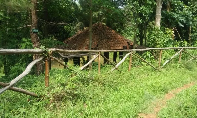 Hutan Kota Cianjur Tidak Terawat, Sejumlah Fasilitas Rusak