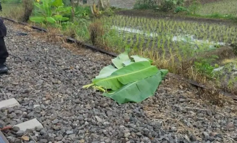 Ibu-ibu Tewas Menemper Kereta Api Siliwangi di Karangtengah