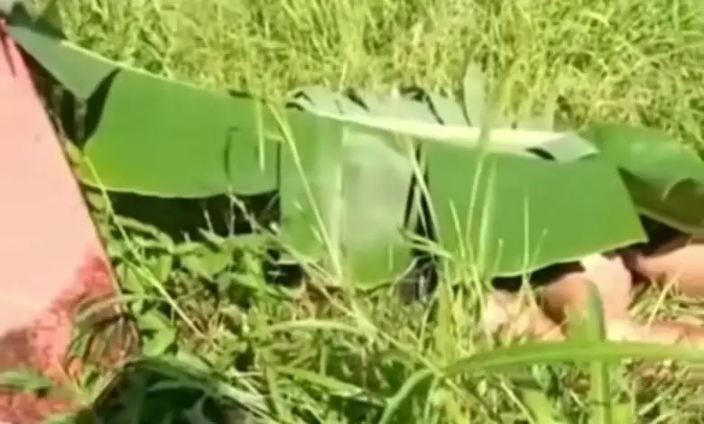 Innalillahi! Warga Cianjur Tewas Tertabrak Kereta Saat Berolahraga, Begini Kronologinya!