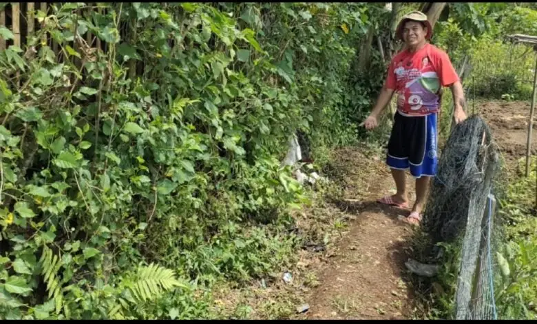 Irigasi Tak Berfungsi, Petani di Ciranjang Udunan Sedot Air dari Sungai