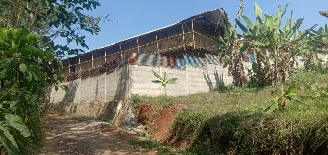 Izin Belum Lengkap, Peternakan Ayam Ini Diduga Sudah Beroperasi