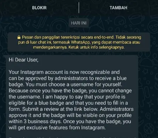 Jangan Asal isi! Waspada Chat Penipuan Mengatasnamakan Instagram, Modusnya Verifikasi Akun