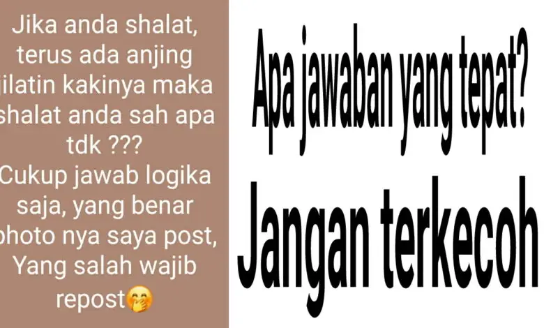 Jawaban Teka-Teki Jika Anda Sholat, Terus Ada Anjing Jilatin Kaki maka Shalat Anda Sah Apa Tdk?
